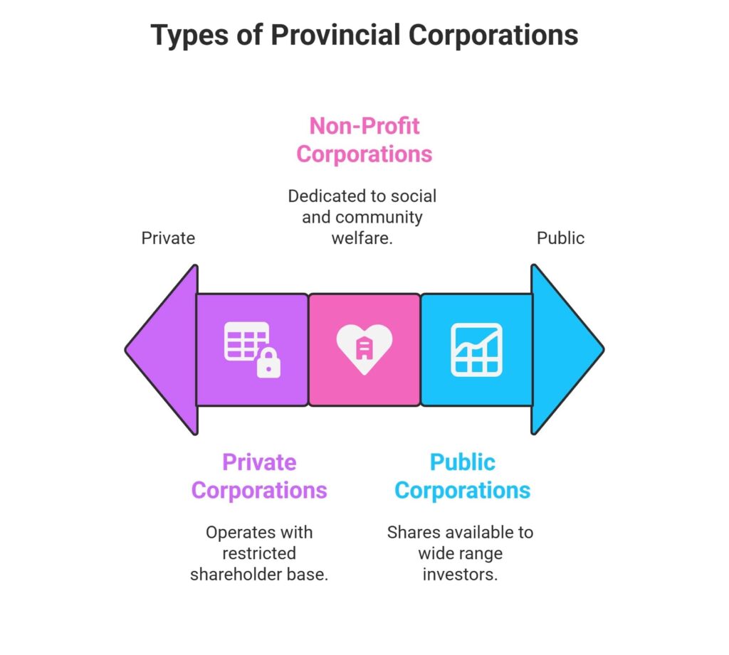 infographic for Types of Provincial Corporations: