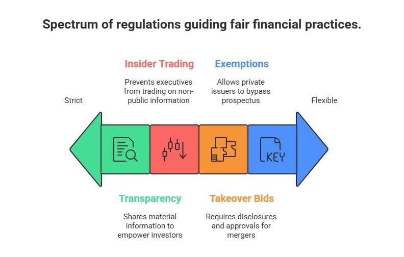 Infographic about_ Understanding Key Corporate Finance Regulations - visual selection